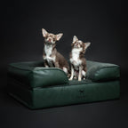 Faux Leather Orthopedic Pet Bed, Cooling Gel Foam, Sofa: Black / M [28*23*11]