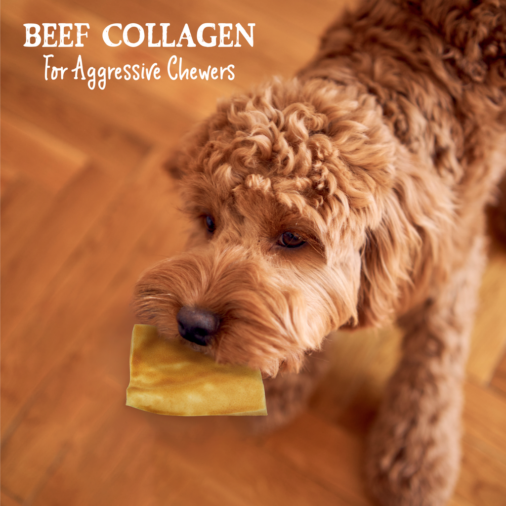 Cheek Chew - Braised Beef: Single