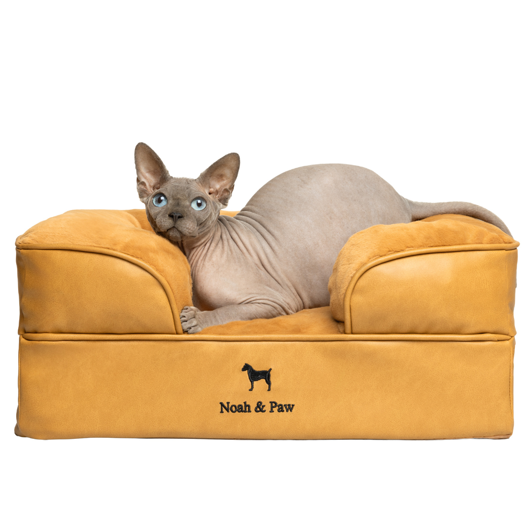 Noah & Paw Orthopedic Sofa Bed | Camel | Large
