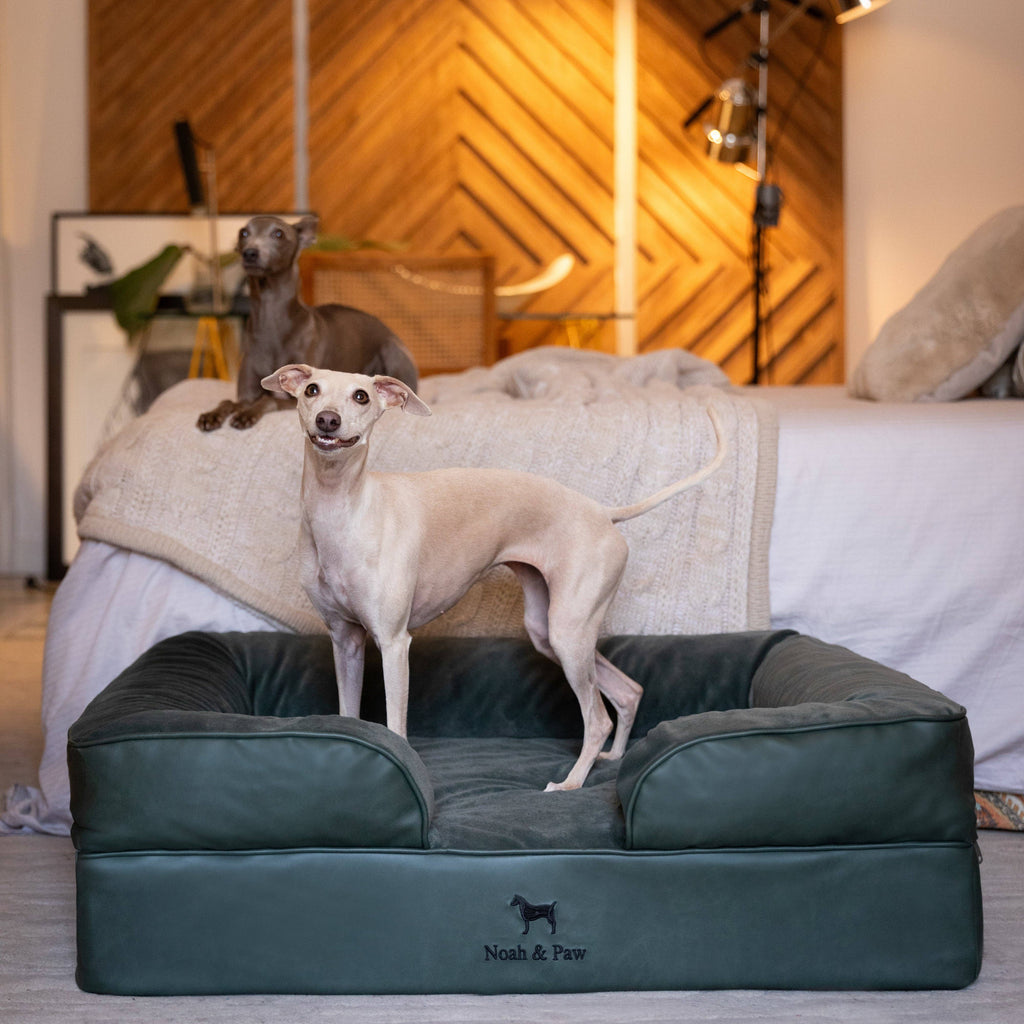 Faux Leather Orthopedic Pet Bed, Cooling Gel Foam, Sofa: Black / M [28*23*11]
