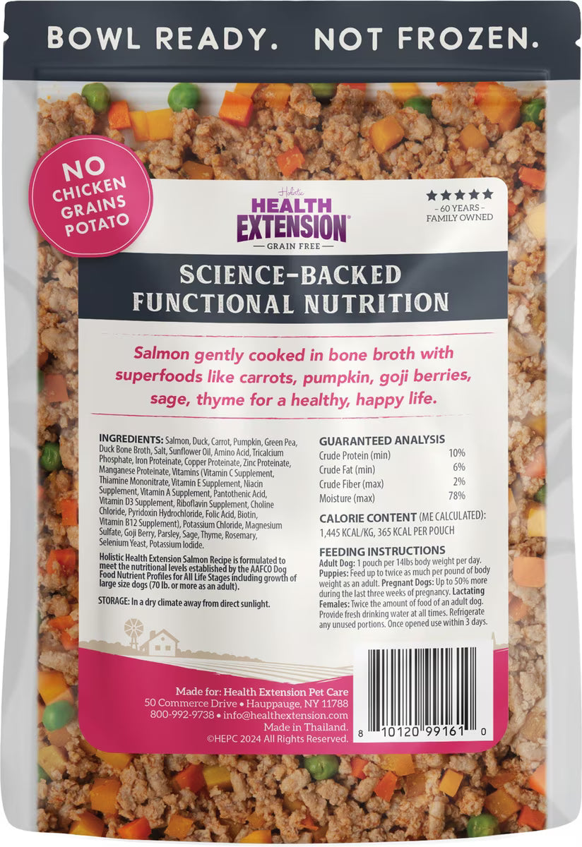 Health Extension Grain Free Salmon Recipe 9 oz Pouch