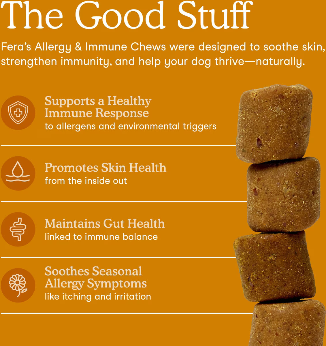 FERA Allergy & Immune Soft Chews for Dogs - 30ct