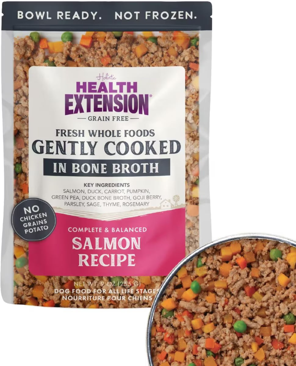 Health Extension Grain Free Salmon Recipe 9 oz Pouch