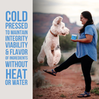 The Only Hip & Joint Soft Chews Dogs Need