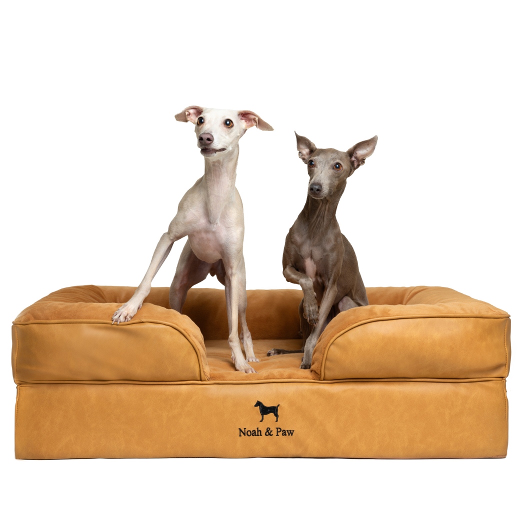 Noah & Paw Orthopedic Sofa Bed | Camel | Large