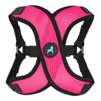 Blue Comfort X Step In Lite Harness - Extra Small