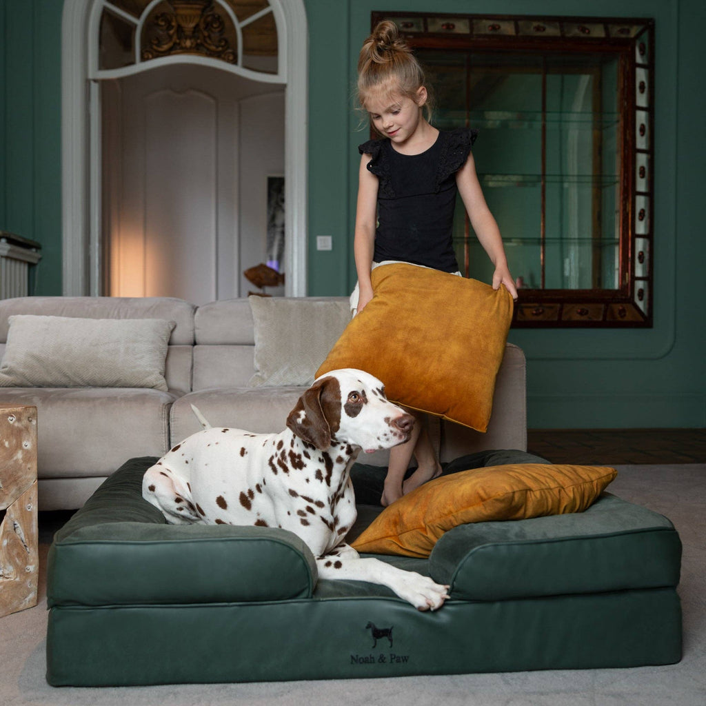 Faux Leather Orthopedic Pet Bed, Cooling Gel Foam, Sofa: Black / M [28*23*11]
