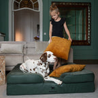 Faux Leather Orthopedic Pet Bed, Cooling Gel Foam, Sofa: Black / M [28*23*11]