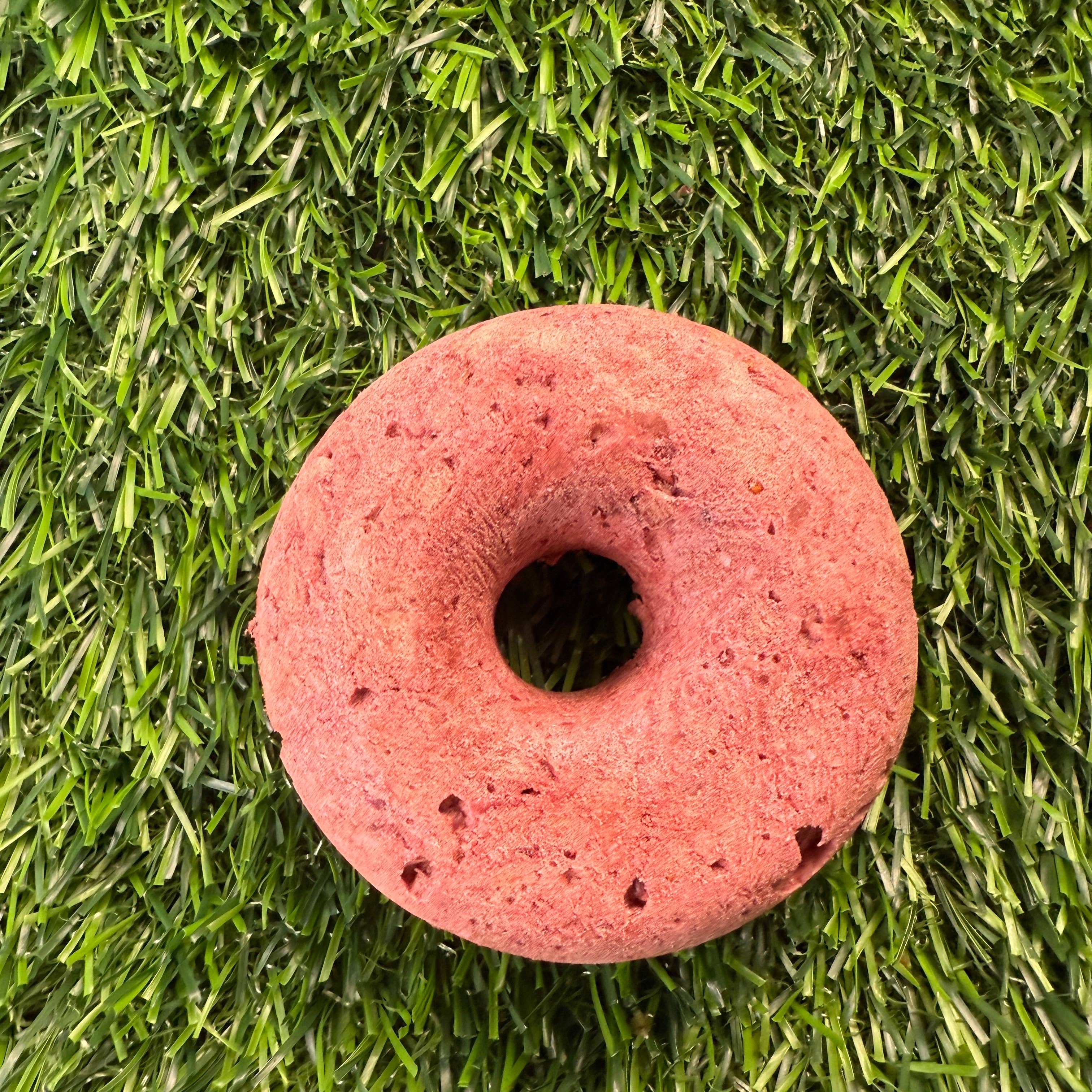 Donut - Turkey & Cran - Freeze-Dried Treat for Dogs & Cats: Bagged/Sealed Donut