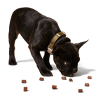 Love Nuggets Training Treats | Beef