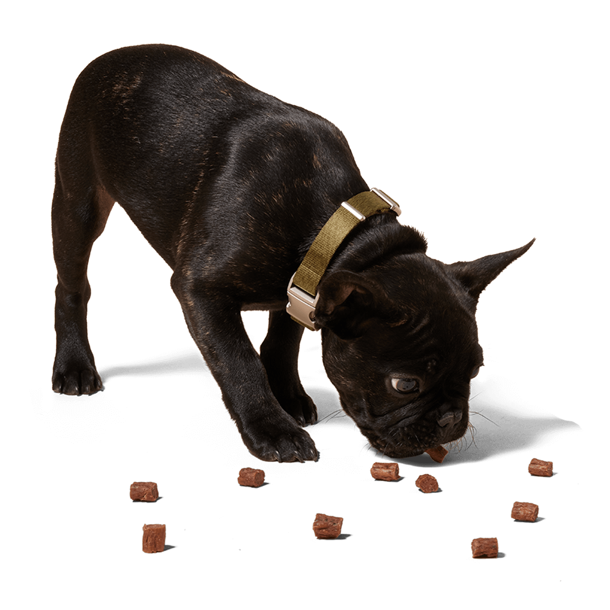 Love Nuggets Training Treats | Beef