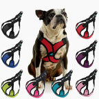Blue Comfort X Step In Lite Harness - Extra Small