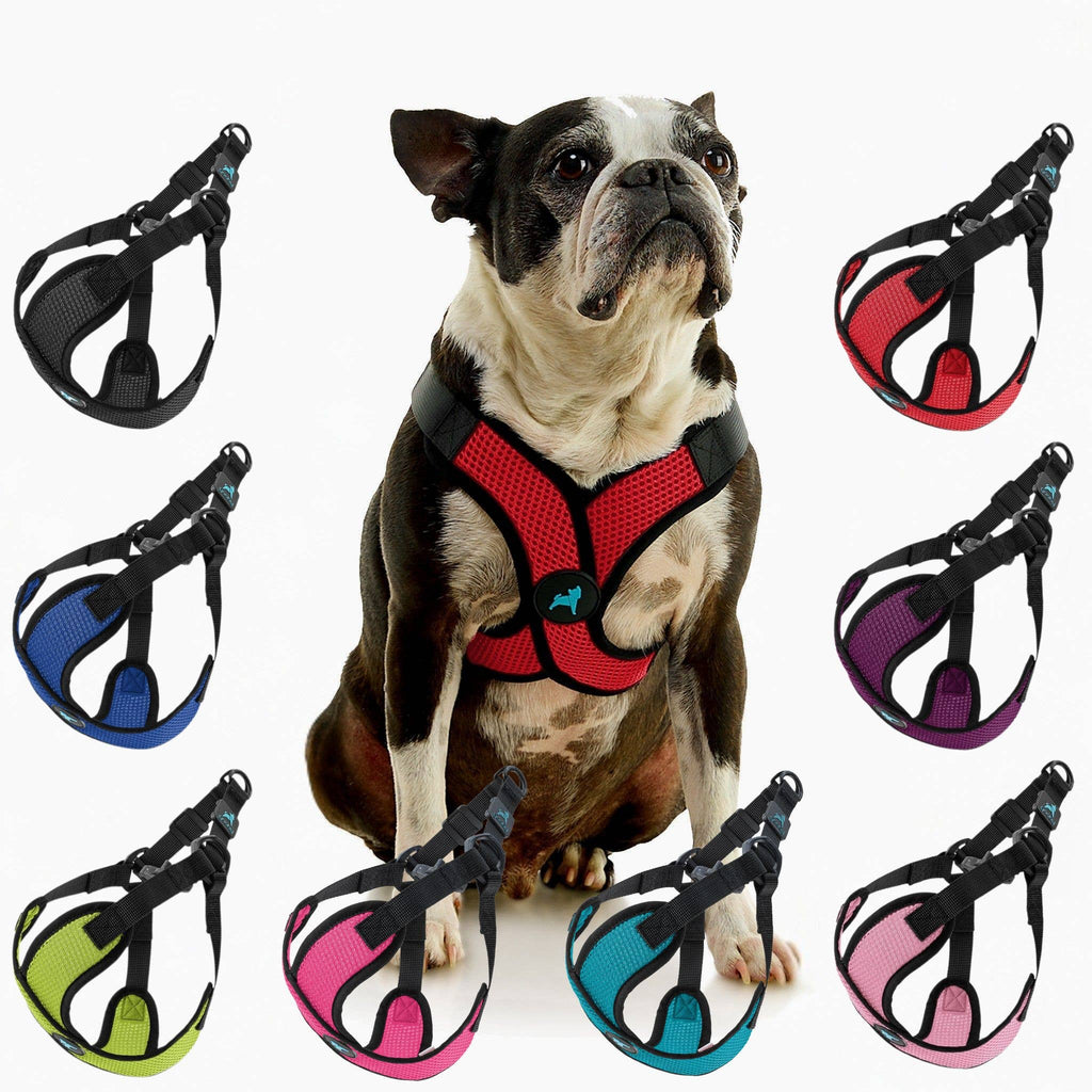 Comfort X Step In Lite Harness