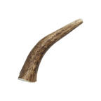 Natural Elk Antlers - Whole: Small Whole