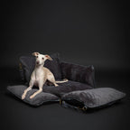Dog Car Seat Carrier Orthopedic Foam, Black, Vegan Leather
