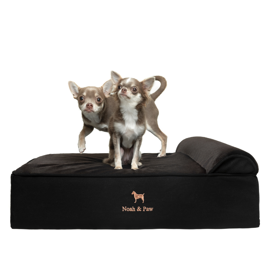 Noah & Paw Classic Orthopedic Bed | Black Denim | Medium