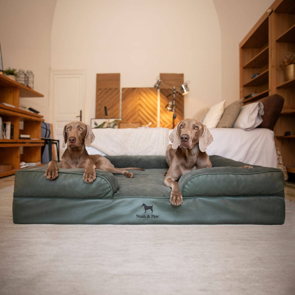 Faux Leather Orthopedic Pet Bed, Cooling Gel Foam, Sofa: Black / M [28*23*11]