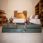 Faux Leather Orthopedic Pet Bed, Cooling Gel Foam, Sofa: Black / M [28*23*11]