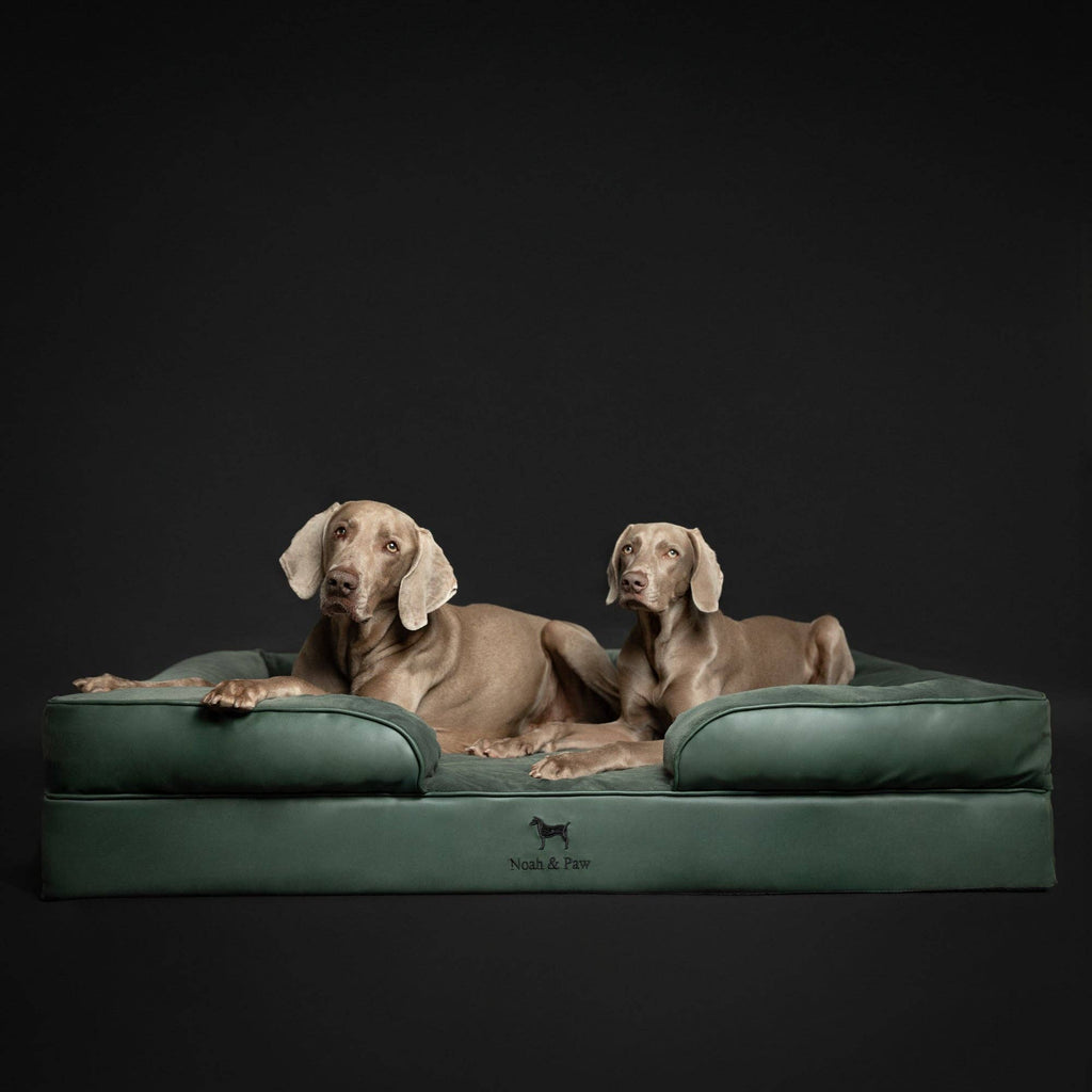 Faux Leather Orthopedic Pet Bed, Cooling Gel Foam, Sofa: Black / M [28*23*11]