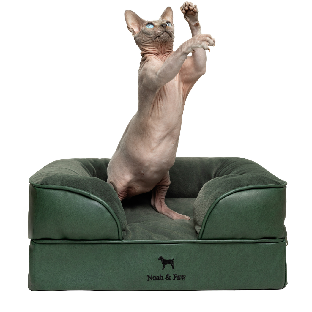 Noah & Paw Orthopedic Sofa Bed | Dark Green | Medium