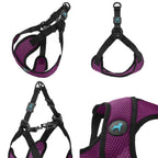 Blue Comfort X Step In Lite Harness - Extra Small