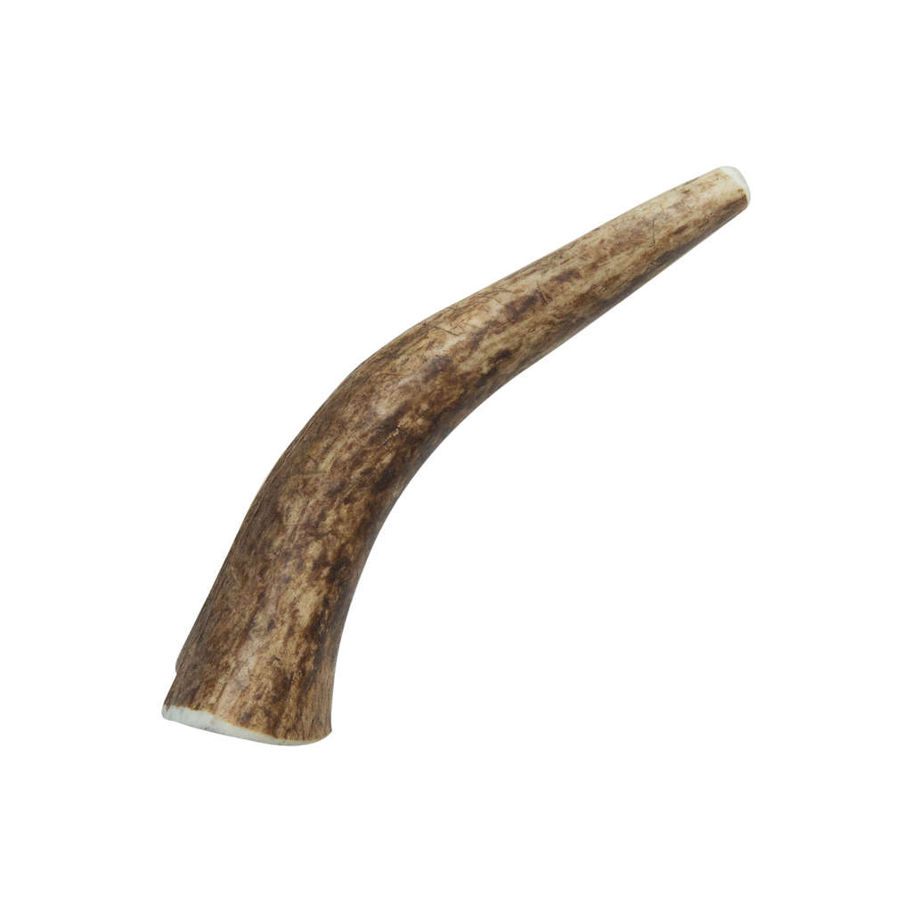 Natural Elk Antlers - Whole: Large Whole
