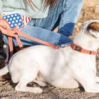 Pro Leather Dog Leash | Coral | Large