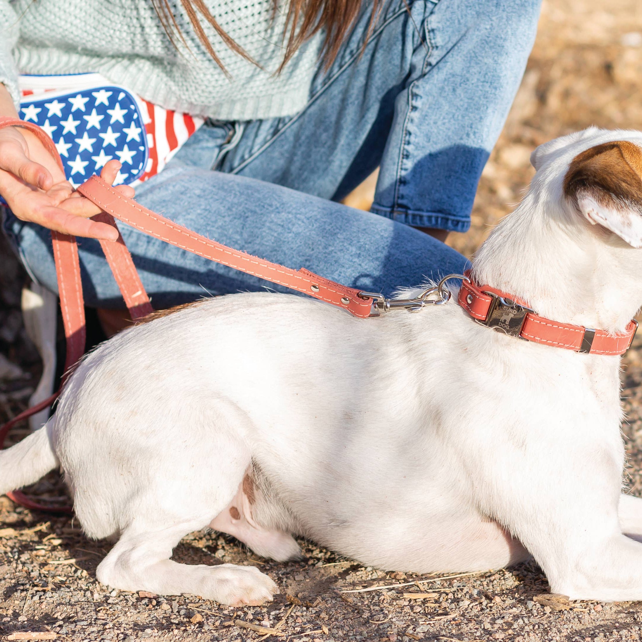 Pro Leather Dog Leash | Coral | Large