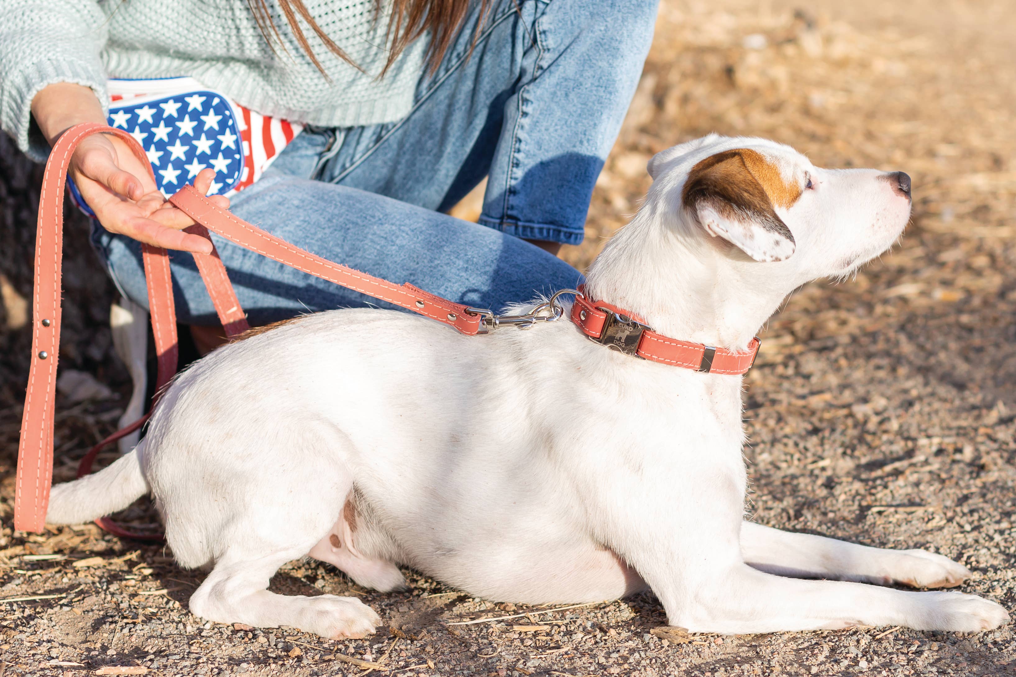 Pro Leather Dog Leash | Navy | Large