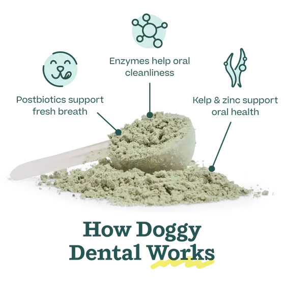 Pupsicle Treat Mix | Doggy Dental