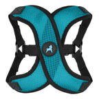 Blue Comfort X Step In Lite Harness - Extra Small