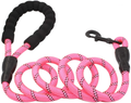 Braided Rope Leash - Pink