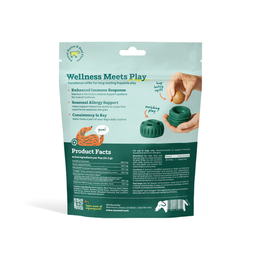 Allergy Support Wellness Pops | Extra Large