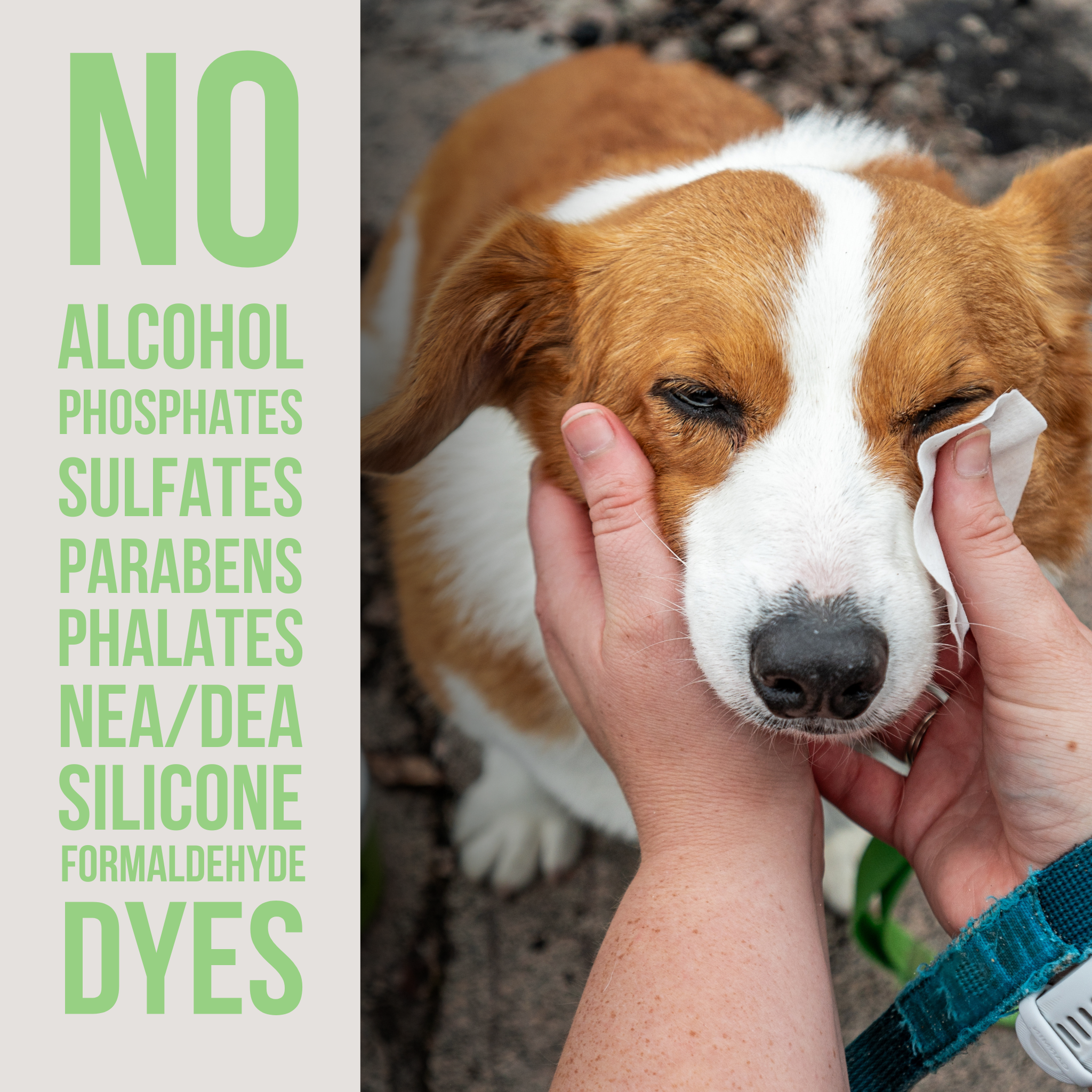 The Only Eye Tear Stain Remover Dogs Need: 3 ounce