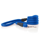 Mesh Leash | Blue | 4 Foot