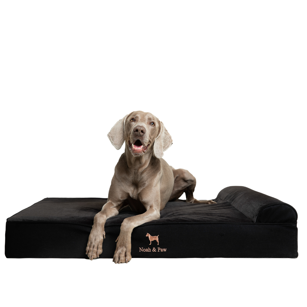 Noah & Paw Classic Orthopedic Bed | Black Denim | Medium
