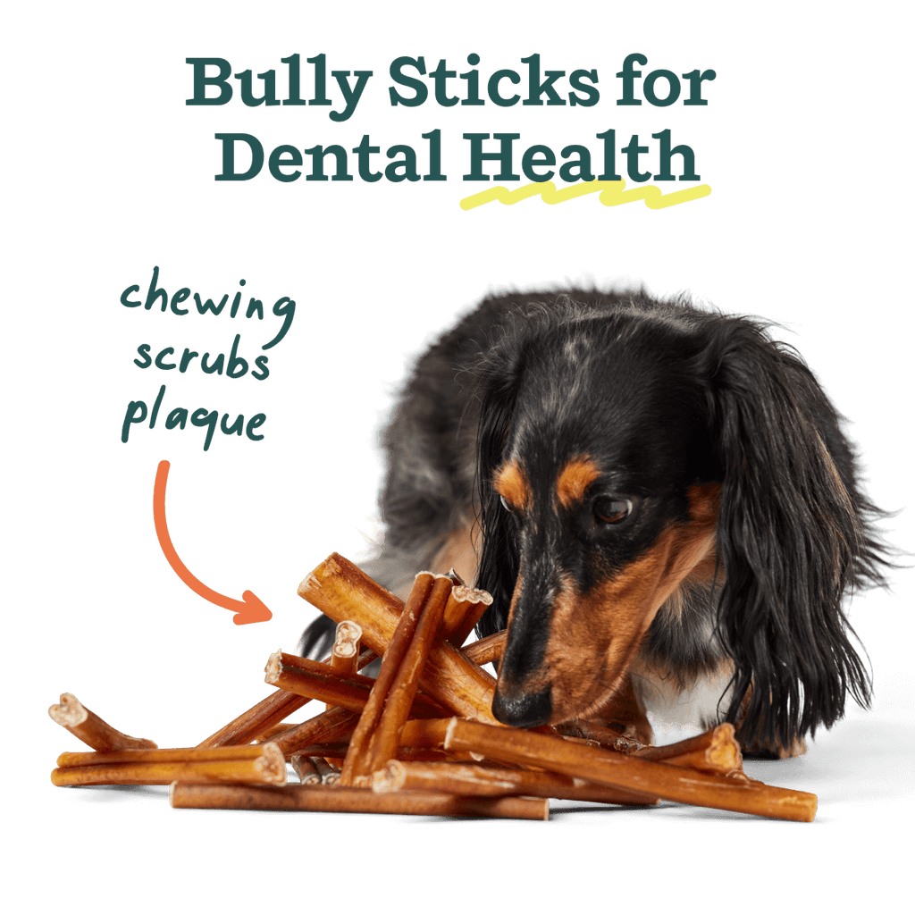 BullySafe Bully Sticks | Beef | 6-Inch | 5 Pack