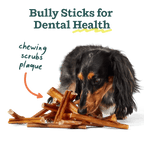 BullySafe Bully Sticks | Beef | 6-Inch | 5 Pack