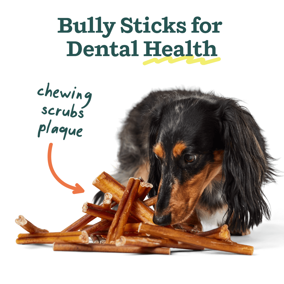 BullySafe Bully Sticks | Beef | 6-Inch | 5 Pack