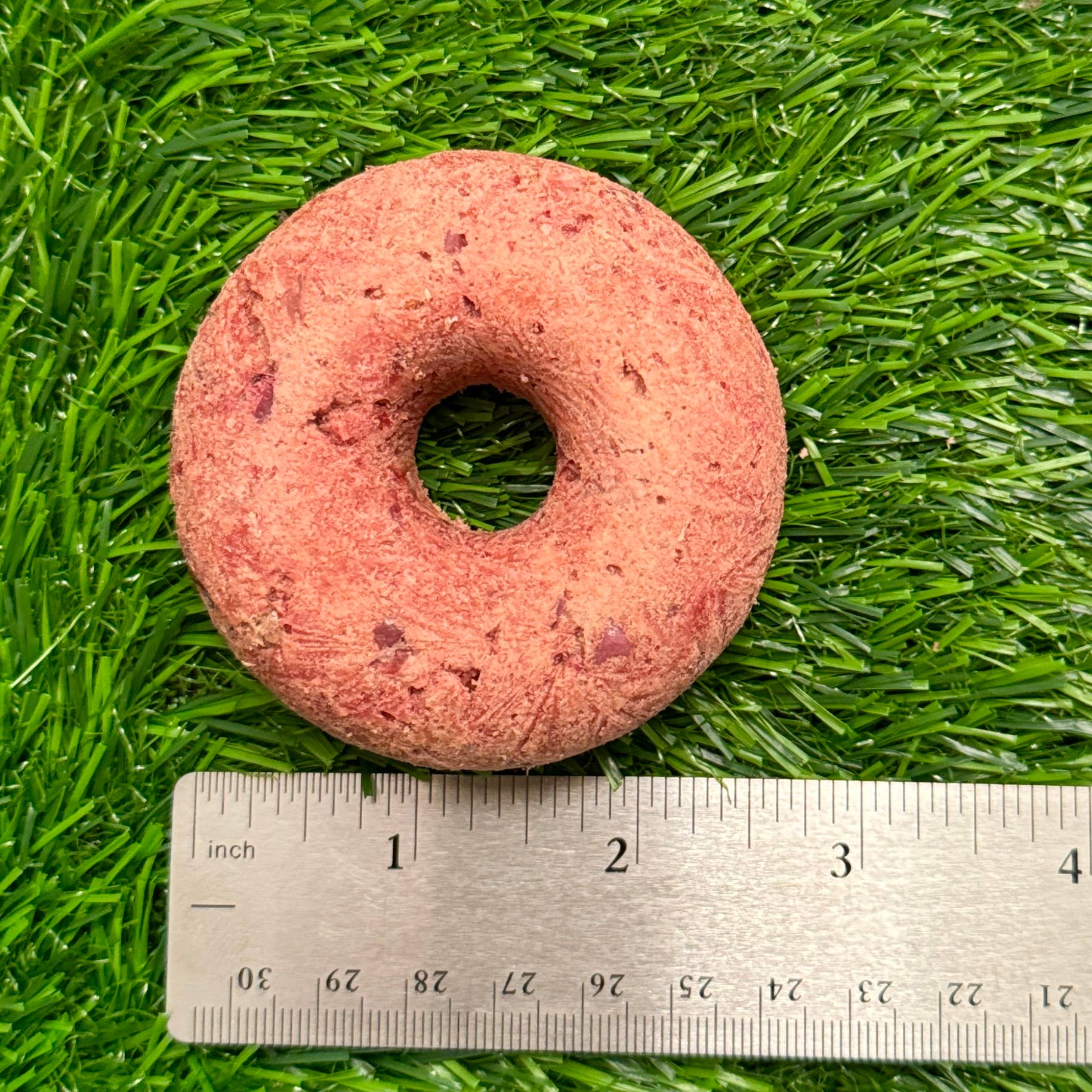 Donut - Turkey & Cran - Freeze-Dried Treat for Dogs & Cats: Bagged/Sealed Donut