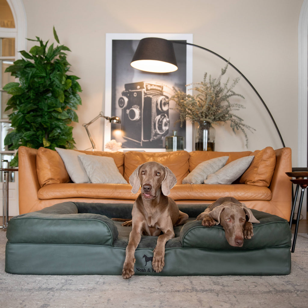 Faux Leather Orthopedic Pet Bed, Cooling Gel Foam, Sofa: Black / M [28*23*11]