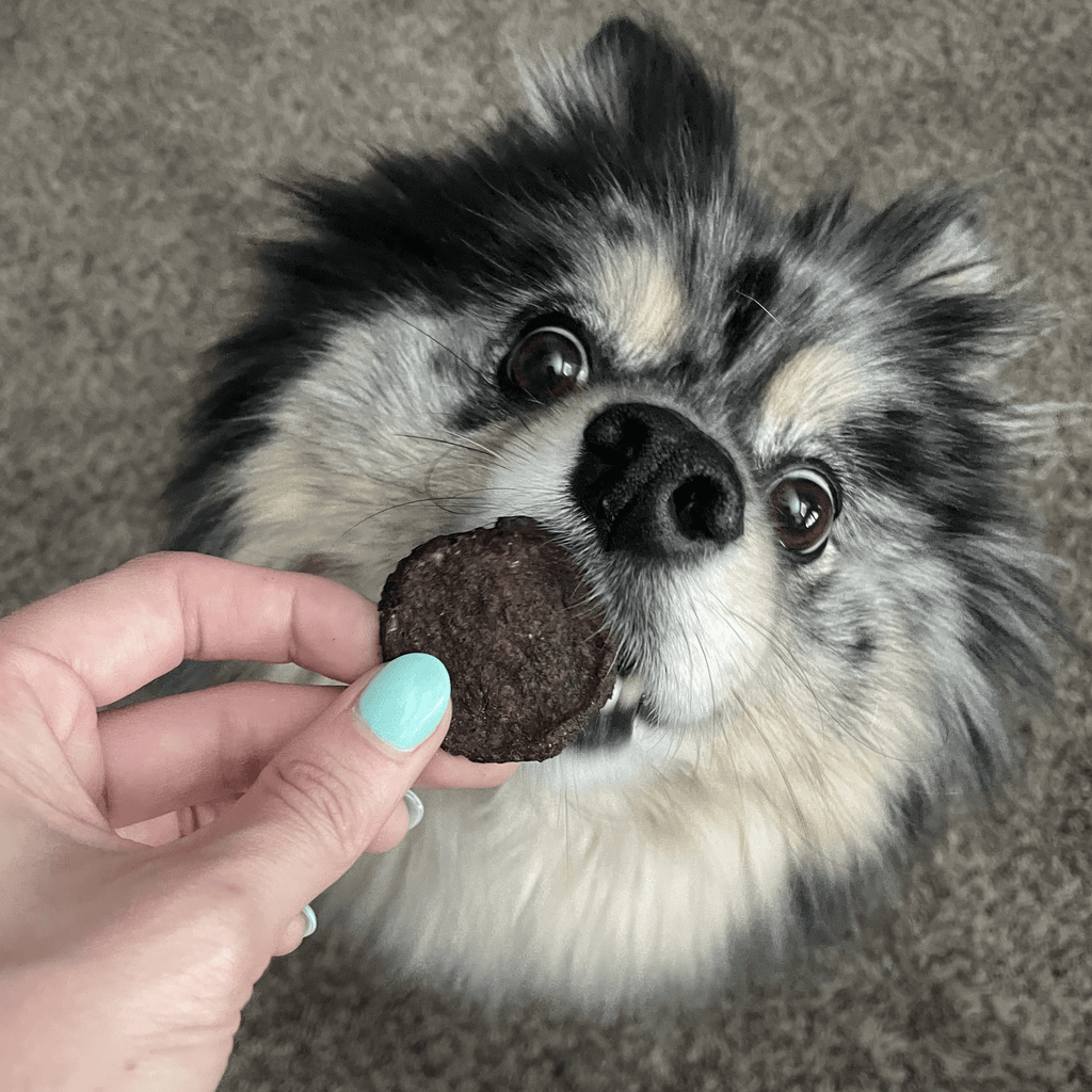 Beef Chips Dog Treats: Standard 4oz