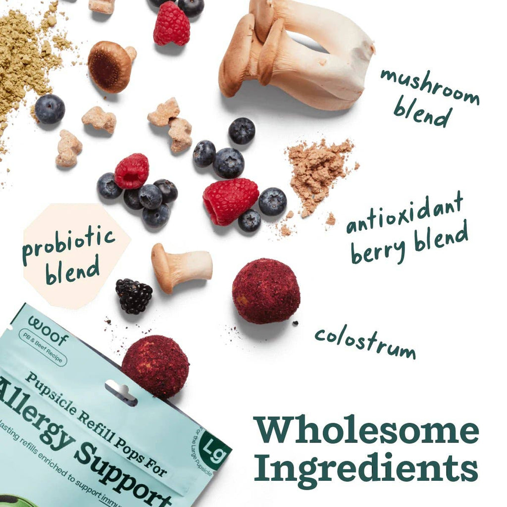 Allergy Support Wellness Pops: Large