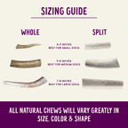 Natural Elk Antlers - Whole: Large Whole