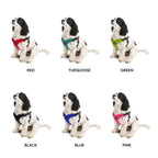 Escape Free Sport Harness | Black | Small