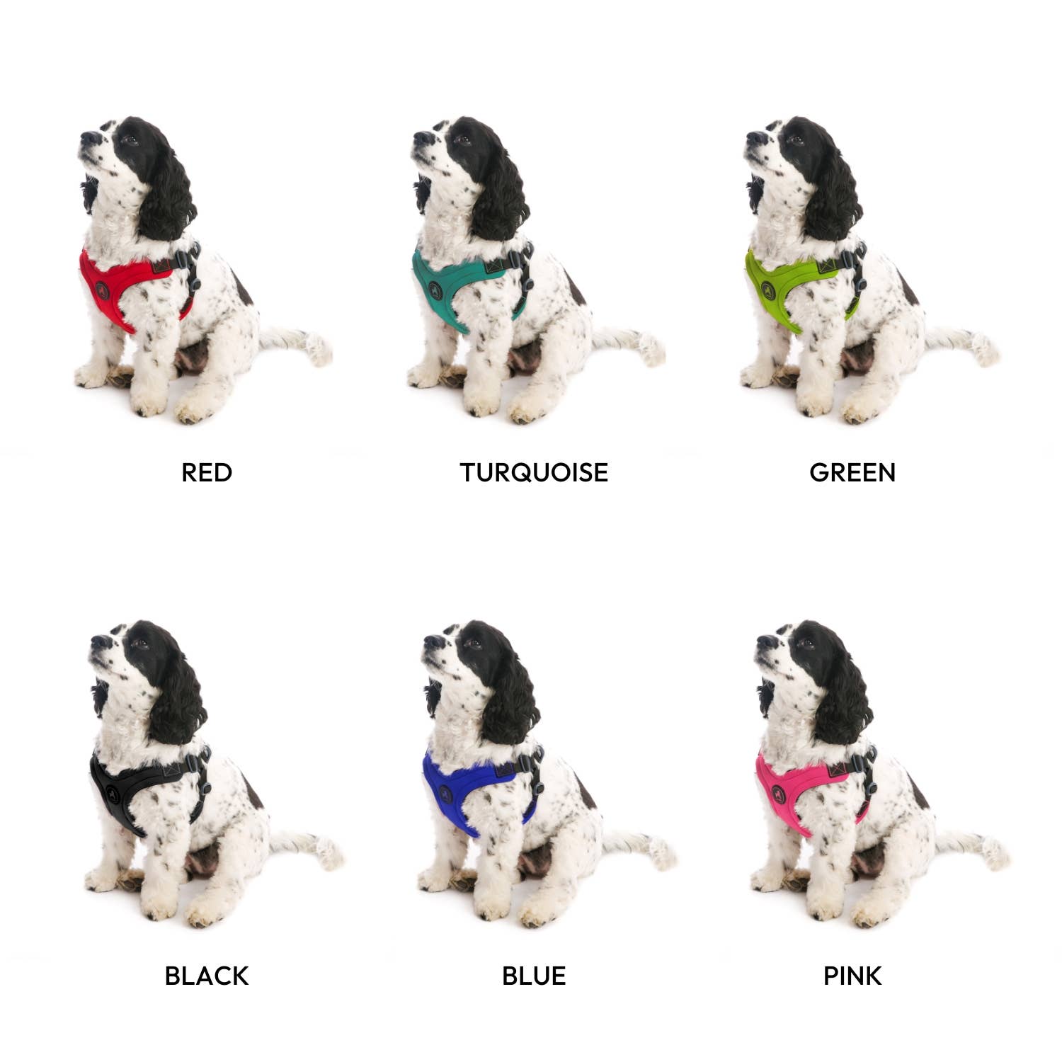 Escape Free Sport Harness | Black | Large