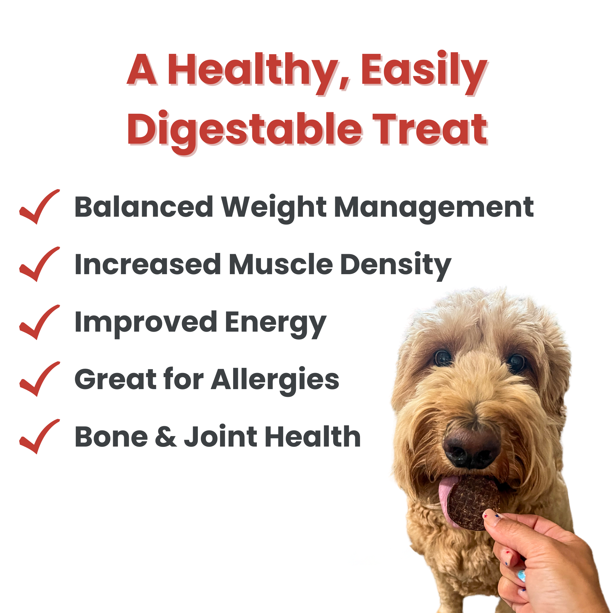 Beef Chips Dog Treats: Standard 4oz