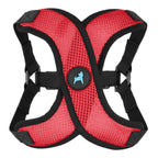 Blue Comfort X Step In Lite Harness - Extra Small