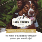 Beef Weasand - Bulk Chew - All-Natural Dog Treats: Large