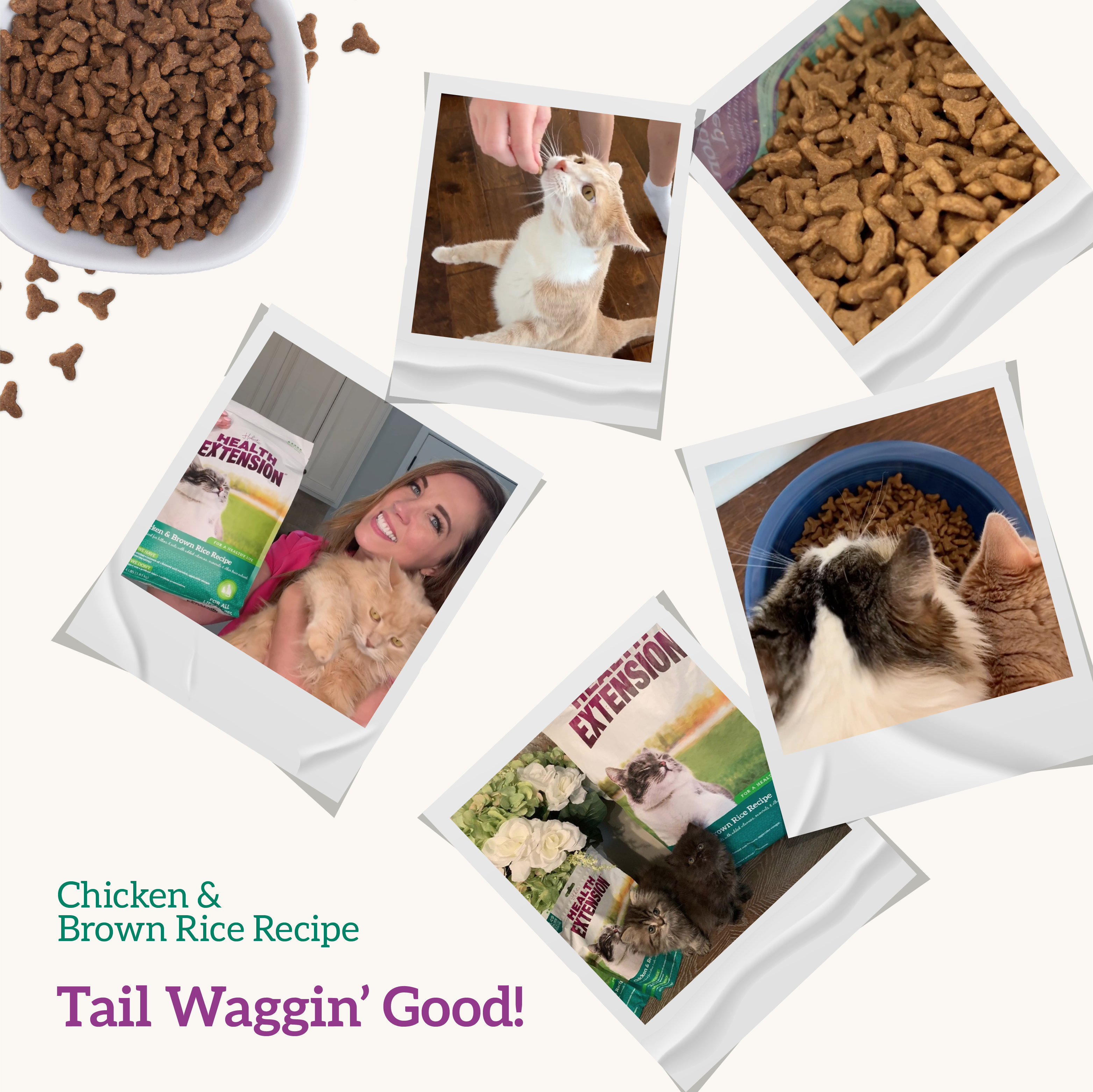 Chicken & Brown Rice Recipe: 4 lb